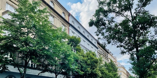 Nabdka bytu 3kk Praha Vinohrady